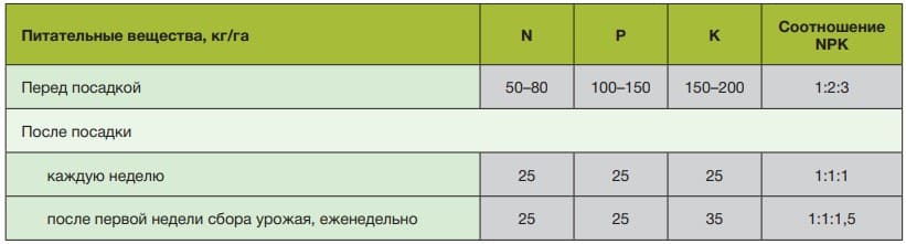 Норма подачи удобрения для перца